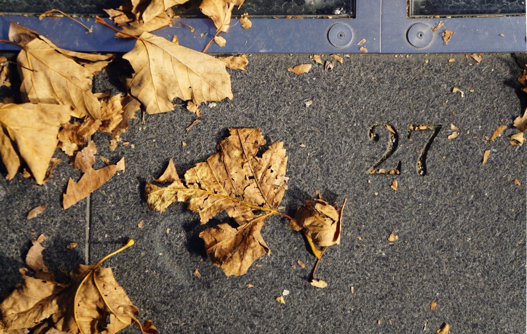 Do You Believe in Signs? Part&nbsp;8