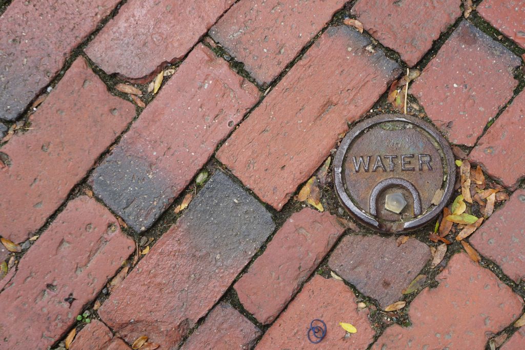 Do You Believe in Signs? Part&nbsp;5